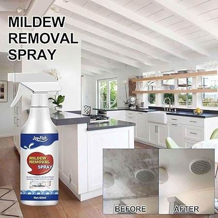 Wall Mildews Remover (60ml) - DMC Wholesale