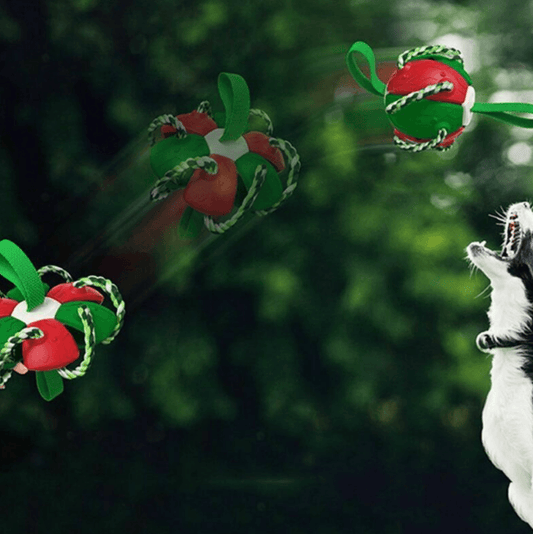 Dog Chew Flying Rebound Training Ball - DMC Wholesale