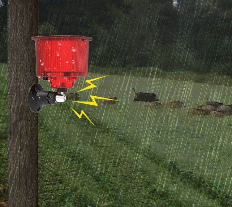 Solar Outdoor Animal Sound Repeller - DMC Wholesale