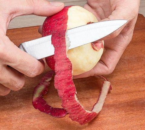 Professional Kitchen Paring Knife (Ultra Sharp Range) - Alt View