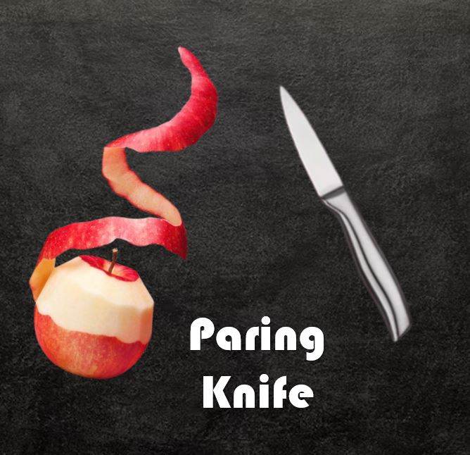 Professional Kitchen Paring Knife (Ultra Sharp Range) - DMC Wholesale