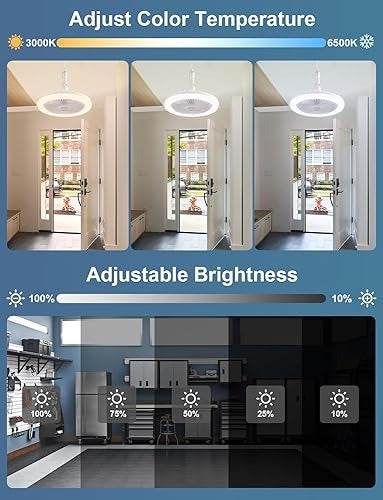 Enclosed Ceiling Fan With Light And Remote - DMC Wholesale