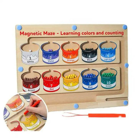 Educational Magnetic Colour And Numbers Classification