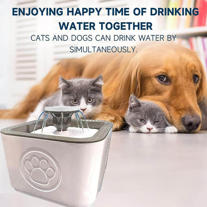 Paw Perfect Pet Water Fountain - DMC Wholesale