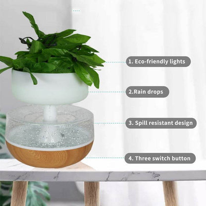 Rain Cloud Plant Humidifier - DMC Wholesale