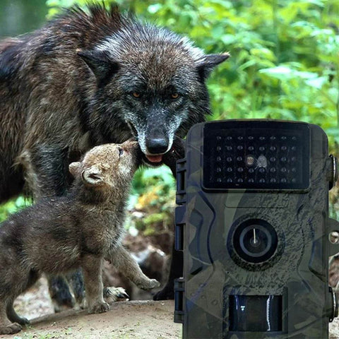 Infrared Night Vision Hunting Trail Camera (12MP) - Alt View