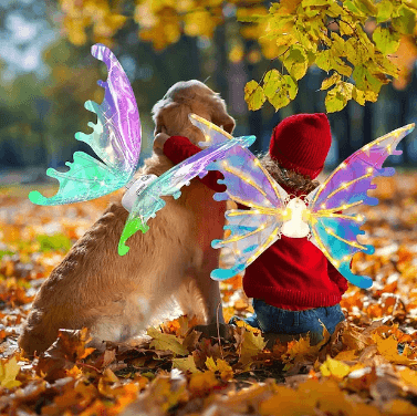 Electric Wings with LED Lights (Fairy) - DMC Wholesale