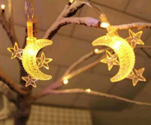 Starry Moon Battery Operated String Lights (20L)(3M)(Yellow)
