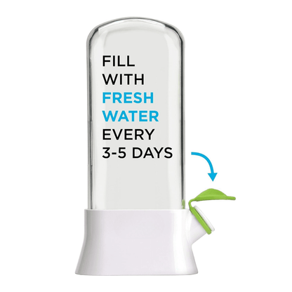 Fresh Herb Storage Saver (Large) - DMC Wholesale