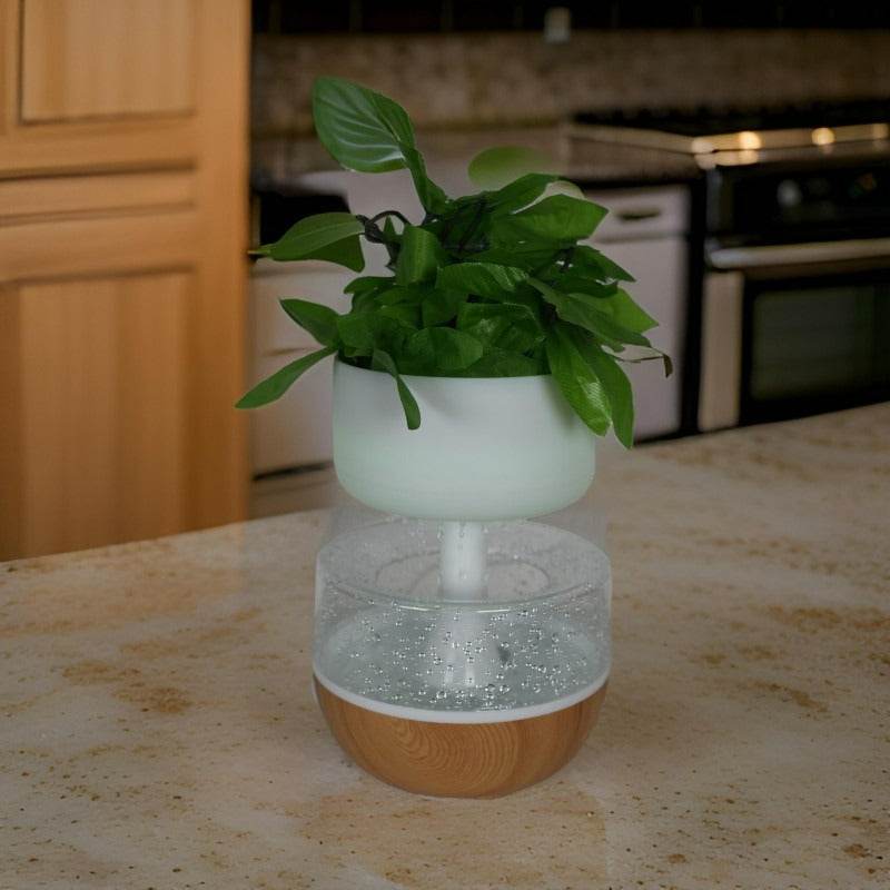 Rain Cloud Plant Humidifier - DMC Wholesale