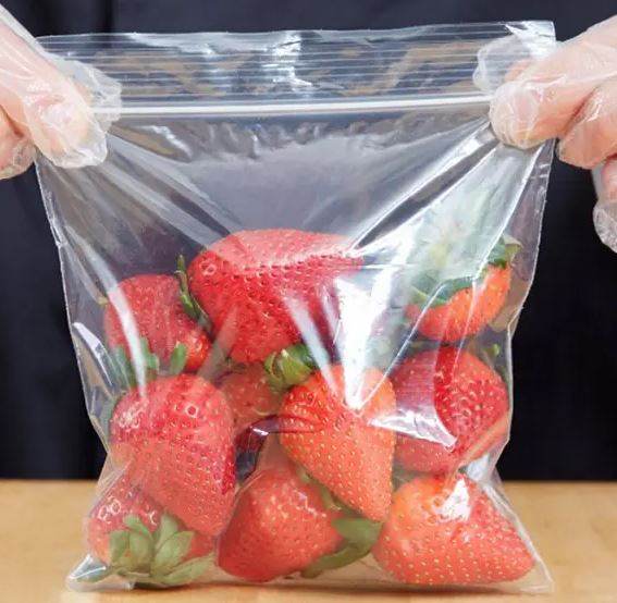 Medium Zipper Seal Freezer Bags (25 pcs) - DMC Wholesale