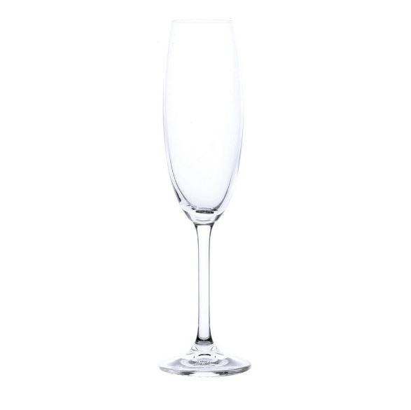 Champagne Glasses (Clear)(6 pcs) - DMC Wholesale