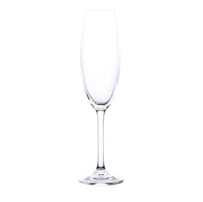 Champagne Glasses (Clear)(6 pcs) - DMC Wholesale