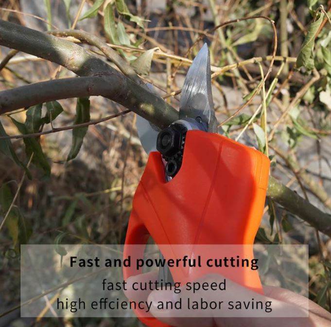 Professional Rechargeable Electric Pruning Shears (48V)(2 Batteries) - DMC Wholesale