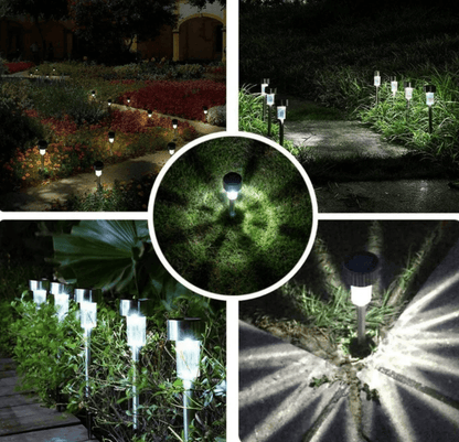 LED Solar Lamp (10 pcs) - DMC Wholesale
