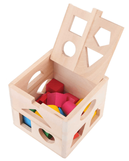Shape Sorter Intelligence Box - DMC Wholesale