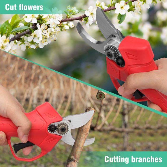 Professional Rechargeable Electric Pruning Shears (48V)(2 Batteries) - DMC Wholesale