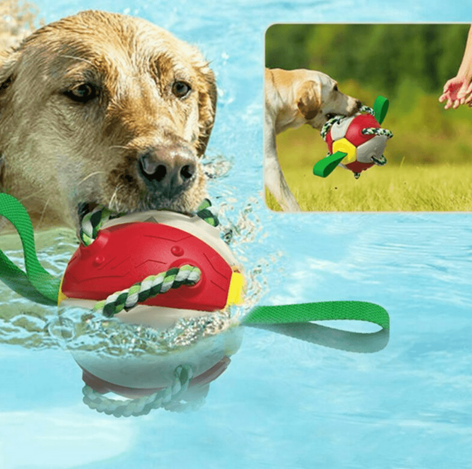 Dog Chew Flying Rebound Training Ball - DMC Wholesale