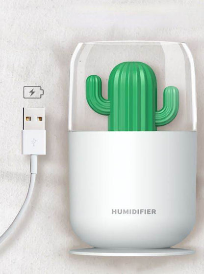 Cactus Humidifier - DMC Wholesale
