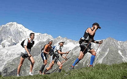 Hiking Pole With Handle - DMC Wholesale