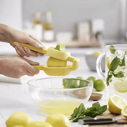 Dual Action Citrus Press - DMC Wholesale