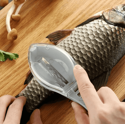 Fish Scale Remover With Lid - DMC Wholesale