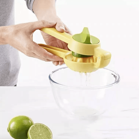 Dual Action Citrus Press - DMC Wholesale
