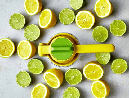 Dual Action Citrus Press - DMC Wholesale