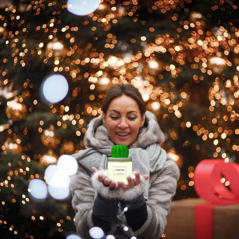 USB Cactus Humidifier (280ml) - Alt View