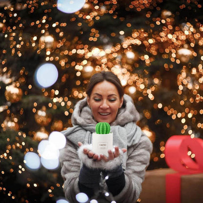 USB Cactus Humidifier (280ml) - DMC Wholesale