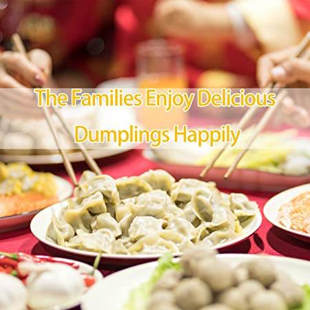 Automatic Dumpling Maker Machine - DMC Wholesale