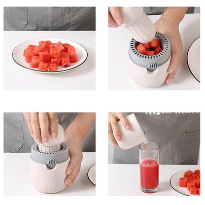 Manual Juicer Cup - DMC Wholesale