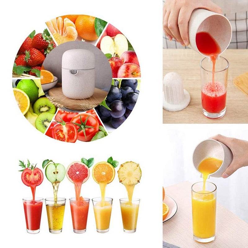 Manual Juicer Cup - DMC Wholesale